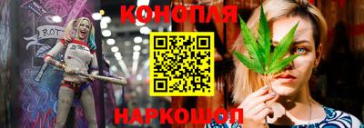 PSILOCYBIN Туймазы
