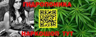 PSILOCYBIN Туймазы