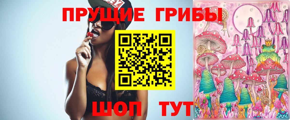 Псилоцибиновые грибы Psilocybe Нижневартовск