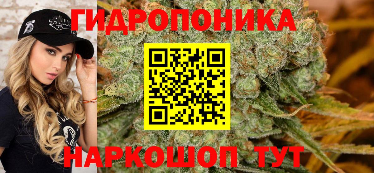 Бошки марихуана семена  Канабис гибрид  Вход с VPN  Нижневартовск  Марихуана VHQ 